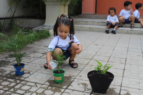 Projeto Meio Ambiente - Infantil II